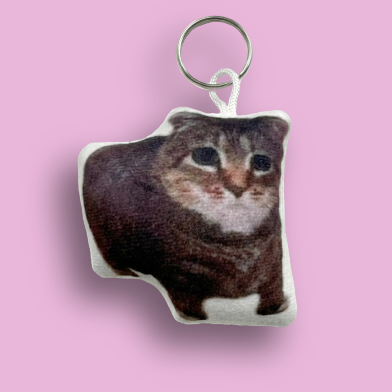 Keychain with speaker oiiai cat