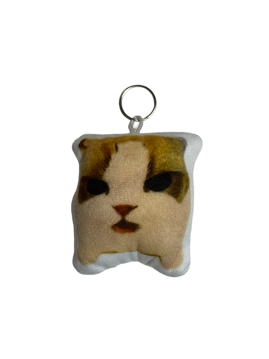 Keychain with speaker Angry Cat