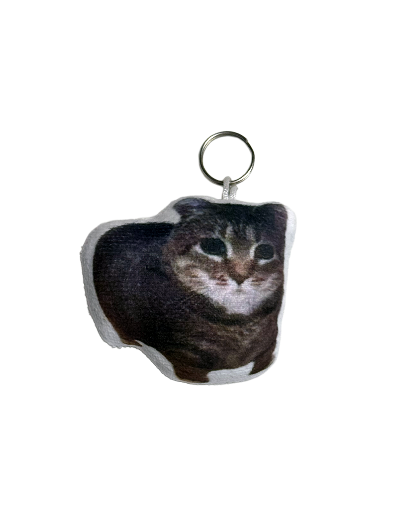 Keychain with speaker oiiai cat